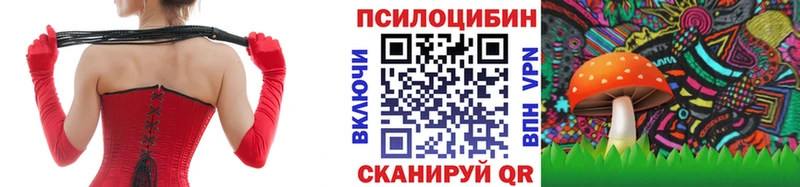 Купить где Спасск-Рязанский Галлюциногенные грибы MAGIC MUSHROOMS